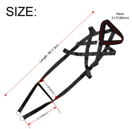 Elevate Your Dog Training Experience with Our Premium Leashes