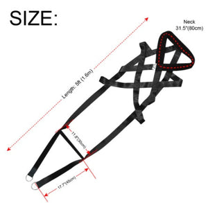 Elevate Your Dog Training Experience with Our Premium Leashes