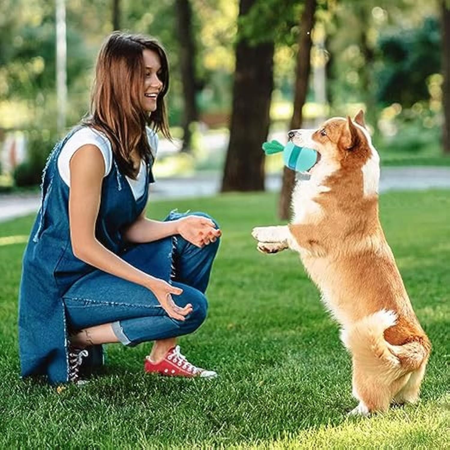 Why Your Dog Deserves the Interactive Treat Dispensing Toy