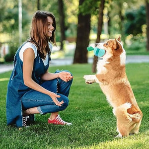 Why Your Dog Deserves the Interactive Treat Dispensing Toy