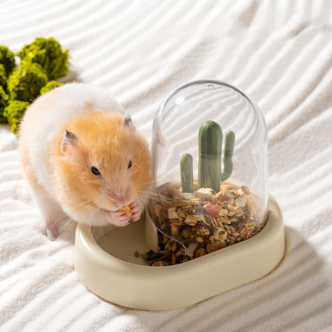 Discover the Joy of Feeding with the Hamster Creative Cactus Automatic Feeder!