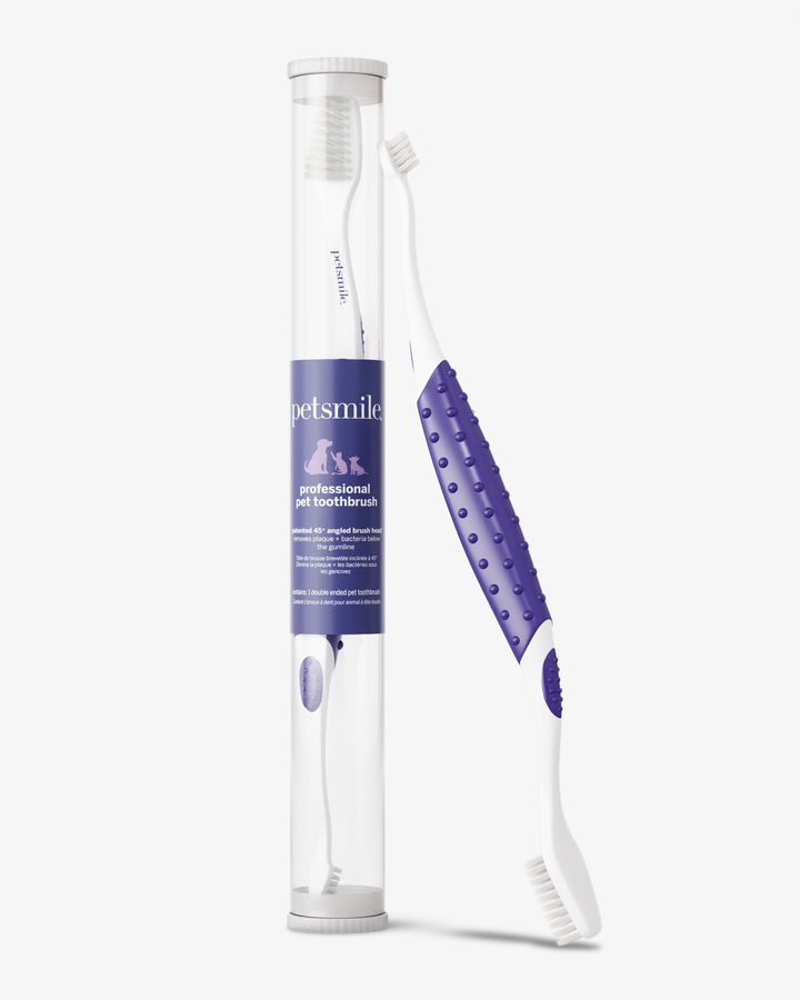 Pet toothbrush with packaging on a white background