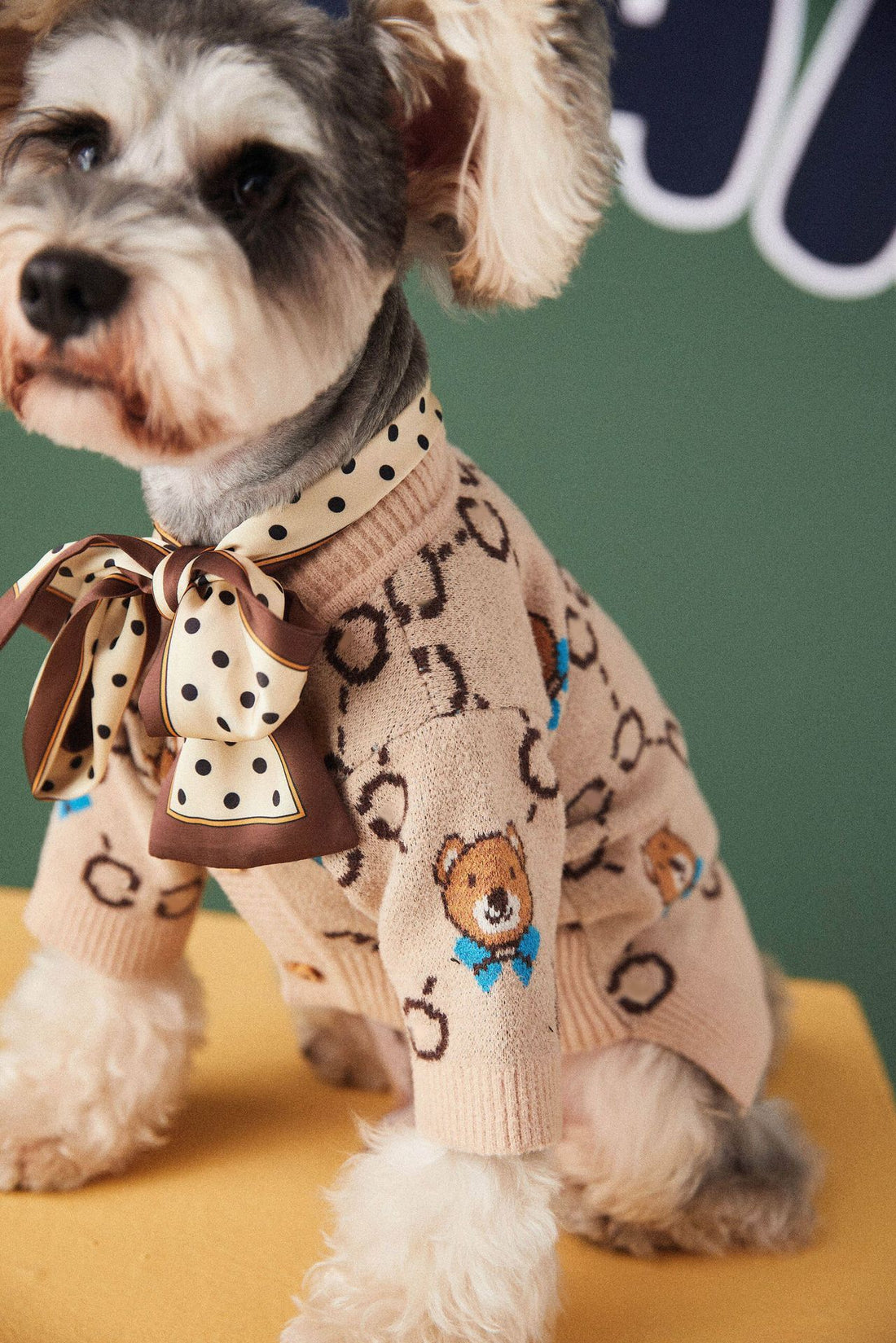 Pet Teddy Schnauzer Sweater