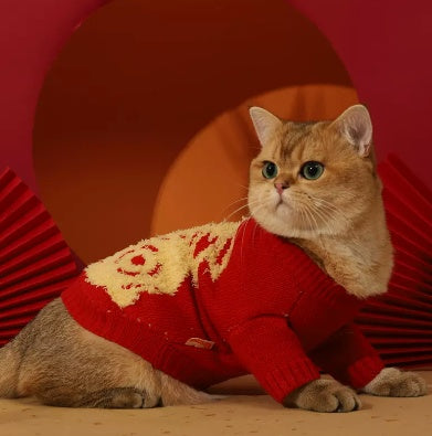 Autumn winter pet sweater - cute cat wearing a warm red knitted sweater, perfect for cozy fall and winter moments.