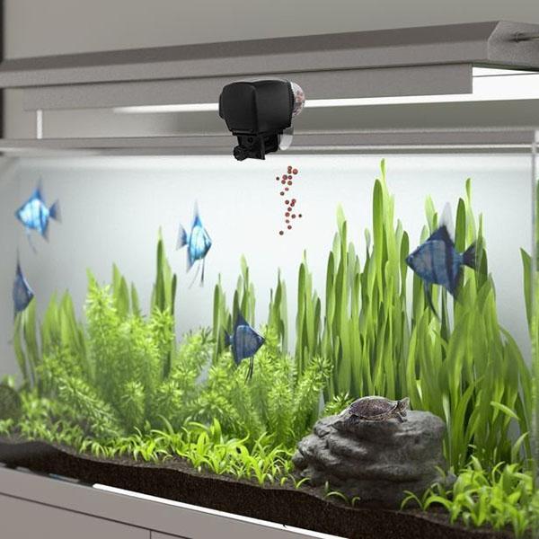 Digital Automatic Aquarium Fish Feeder dispensing food in a beautifully planted aquarium with colorful fish.