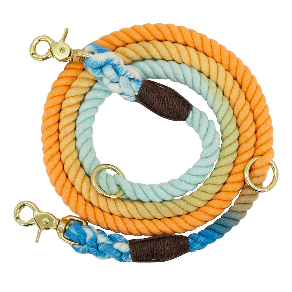 Dog Collars Accessories Leashes