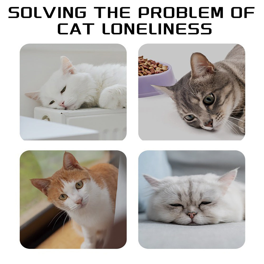 Pet Rope Chew Rope Toys