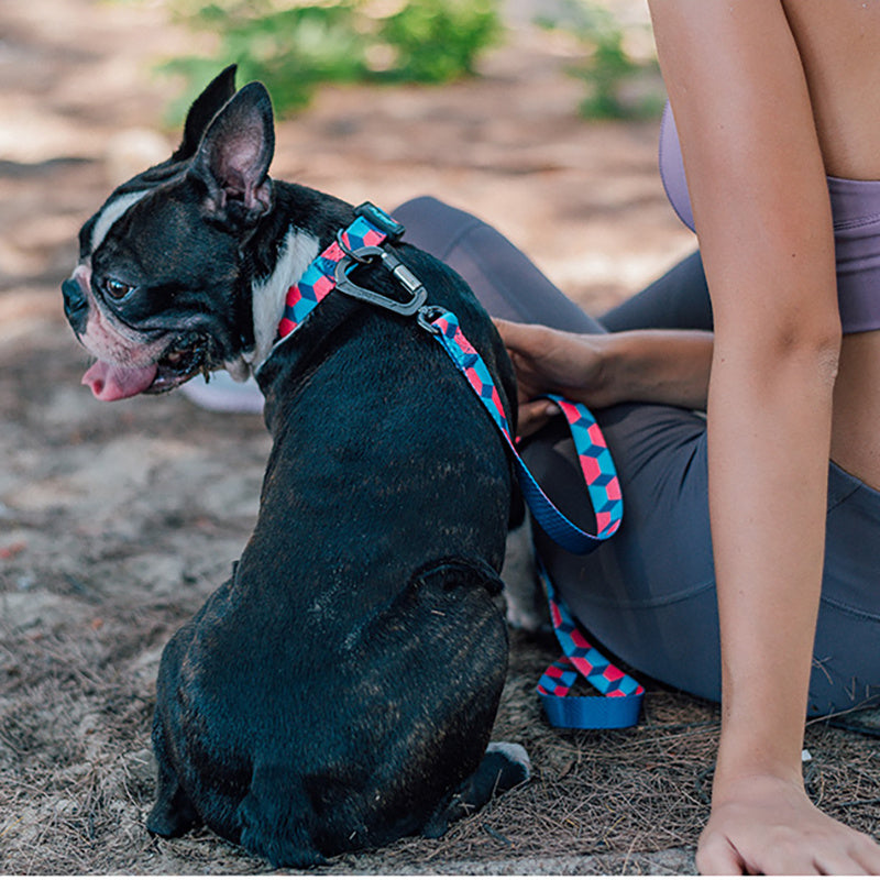 Ribbon Printing Traction Rope Dog