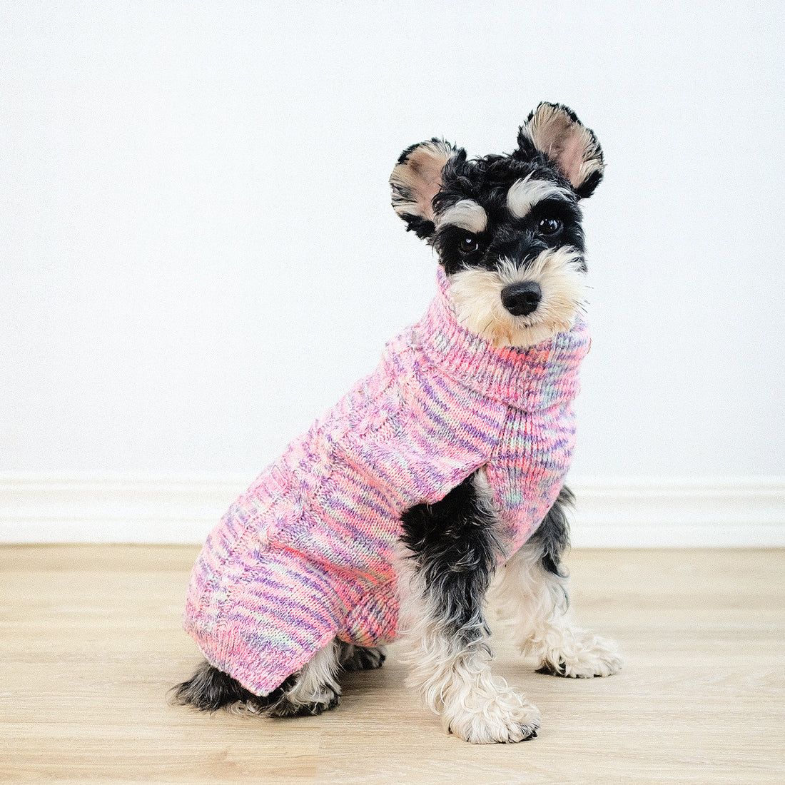 Dyed purple pet sweater on a stylish dog, showcasing cozy knitted comfort for pets.