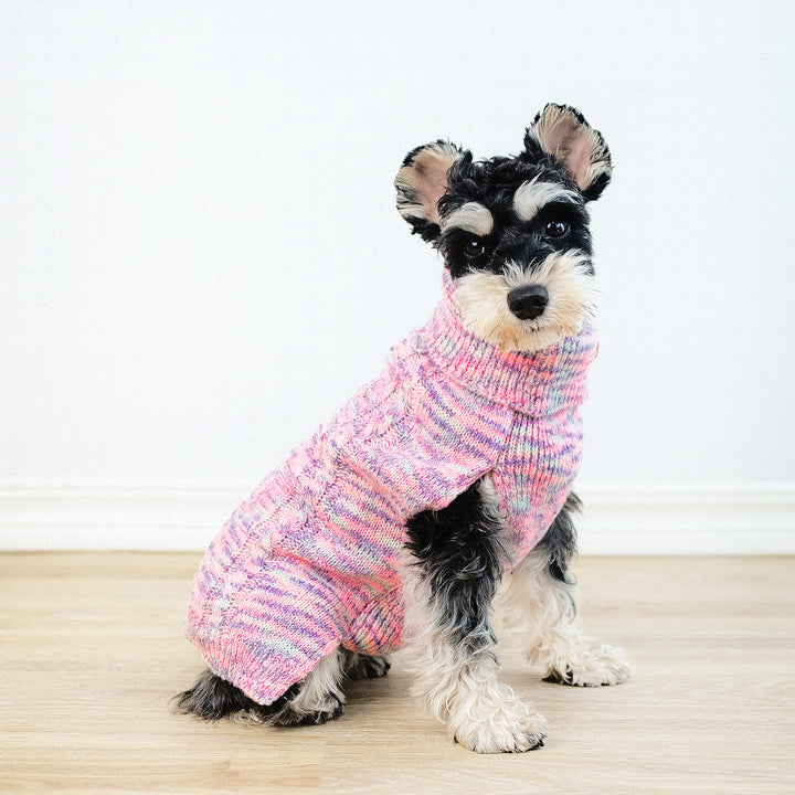 Dyed purple pet sweater on a stylish dog, showcasing cozy knitted comfort for pets.
