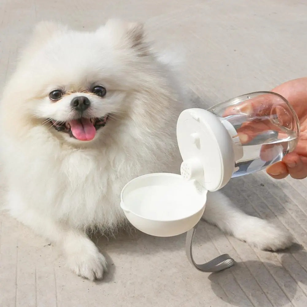 Portable Pet Water Bottle Outdoor