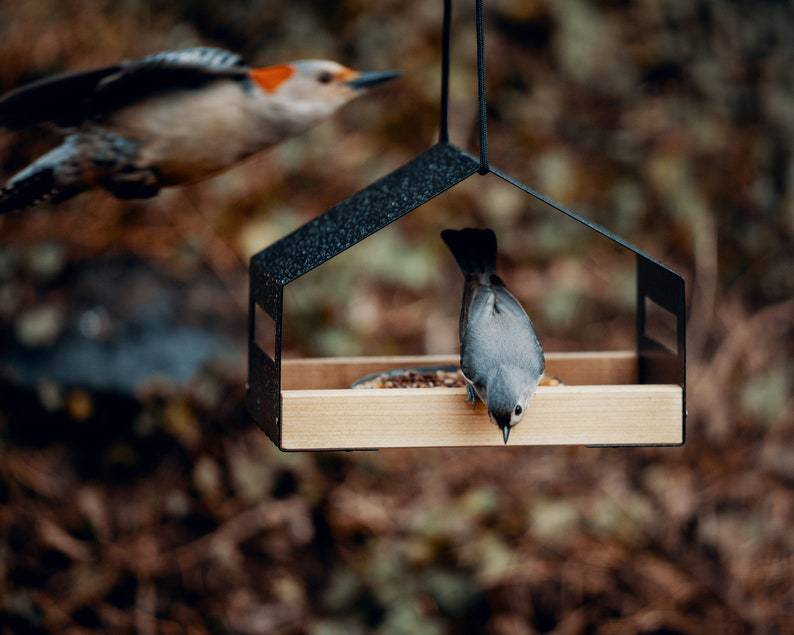 Outdoor Hanging Bird Feeder