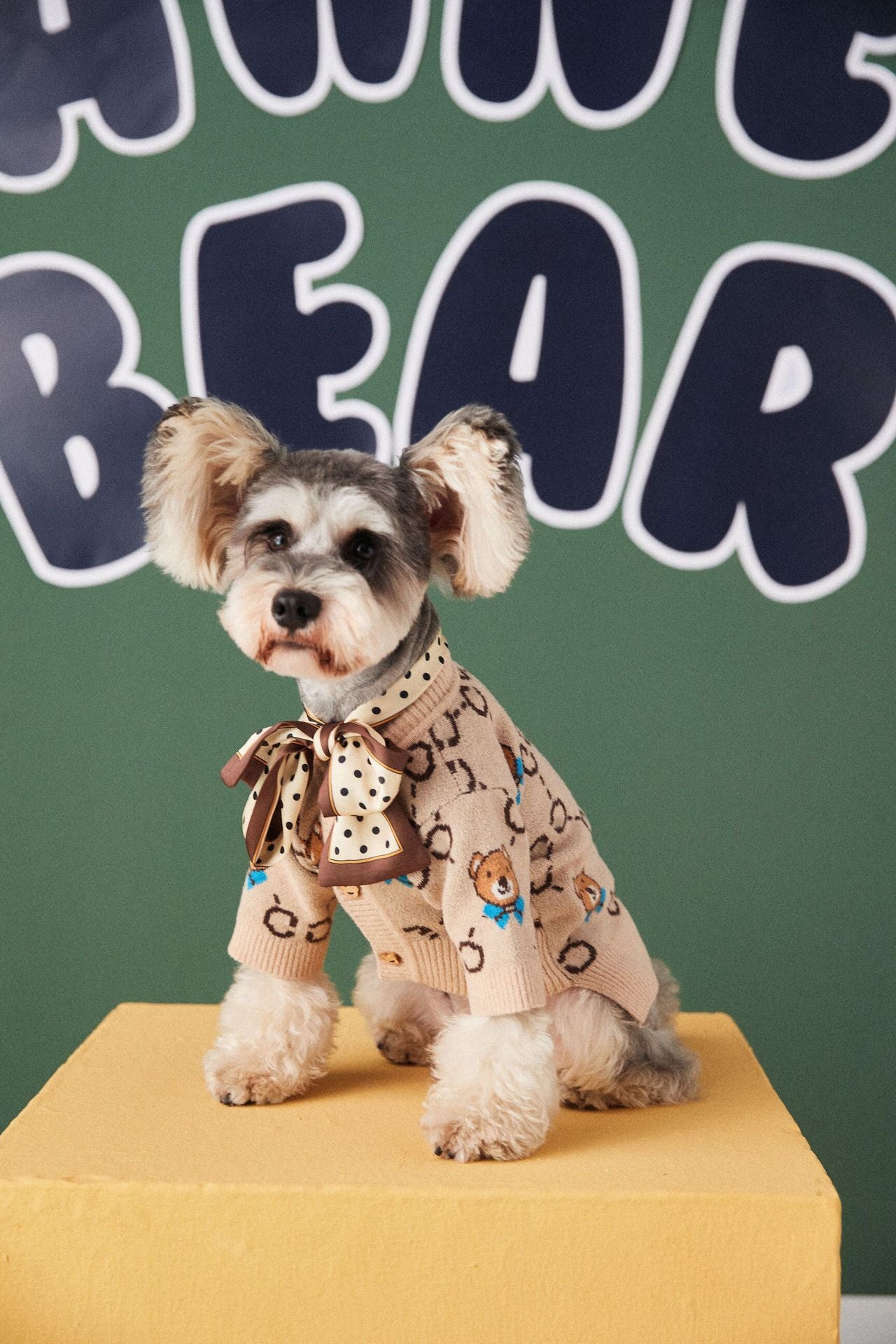 Pet Teddy Schnauzer Sweater