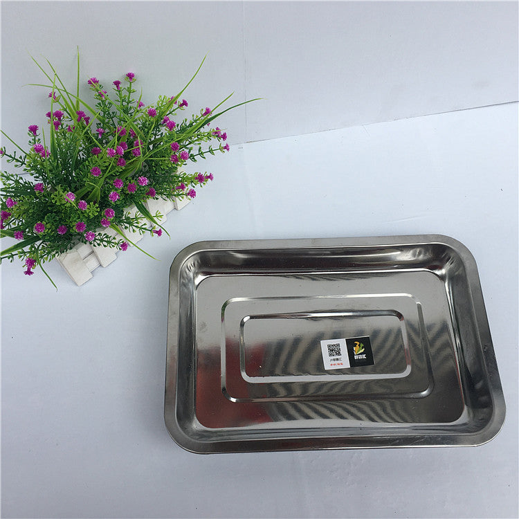 Take-away Cage Parrot Outing Travel