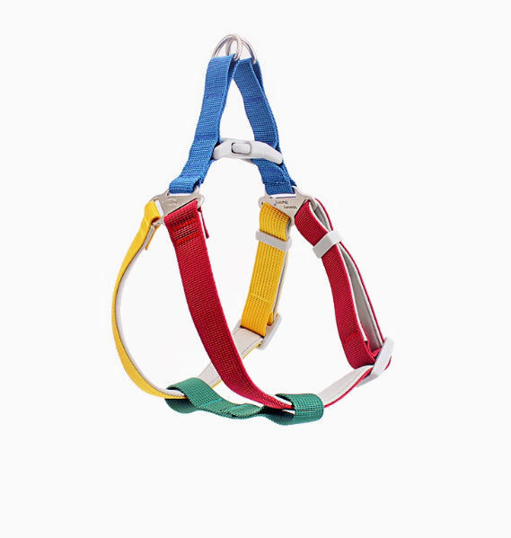 Colorful Outdoor Leash Pet Supplies