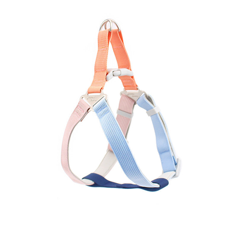 Colorful Outdoor Leash Pet Supplies