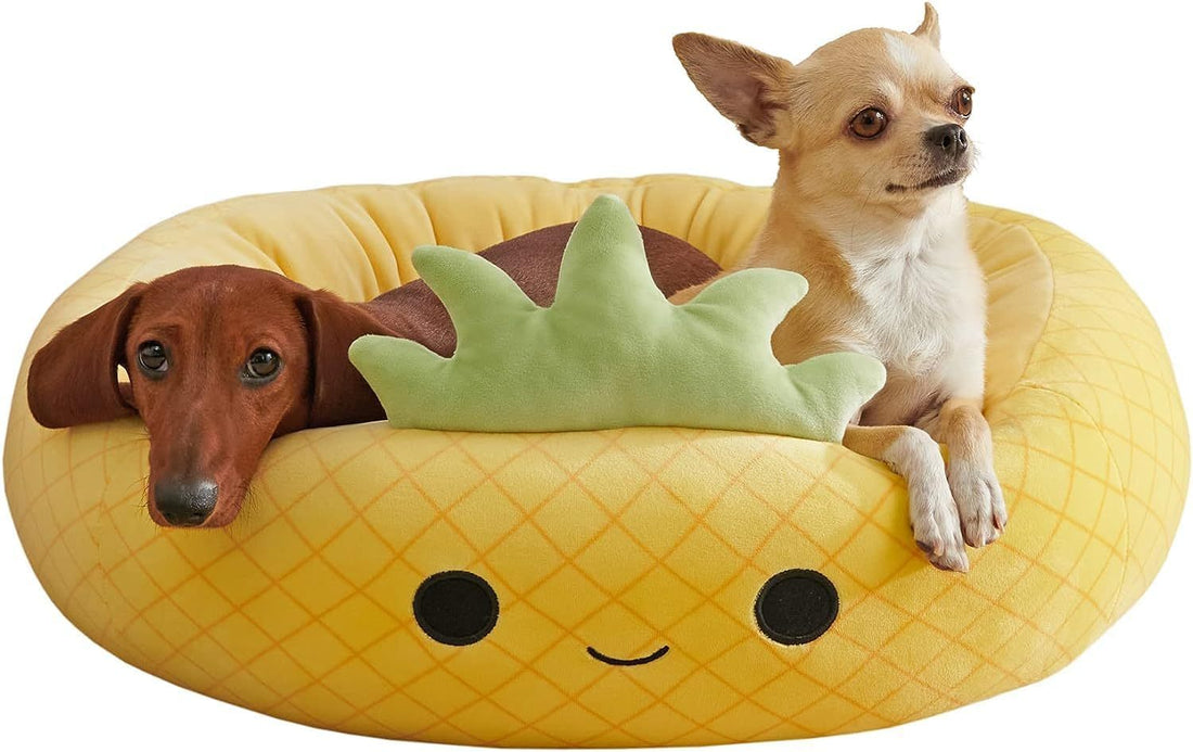 Shark Pet Plush Bed