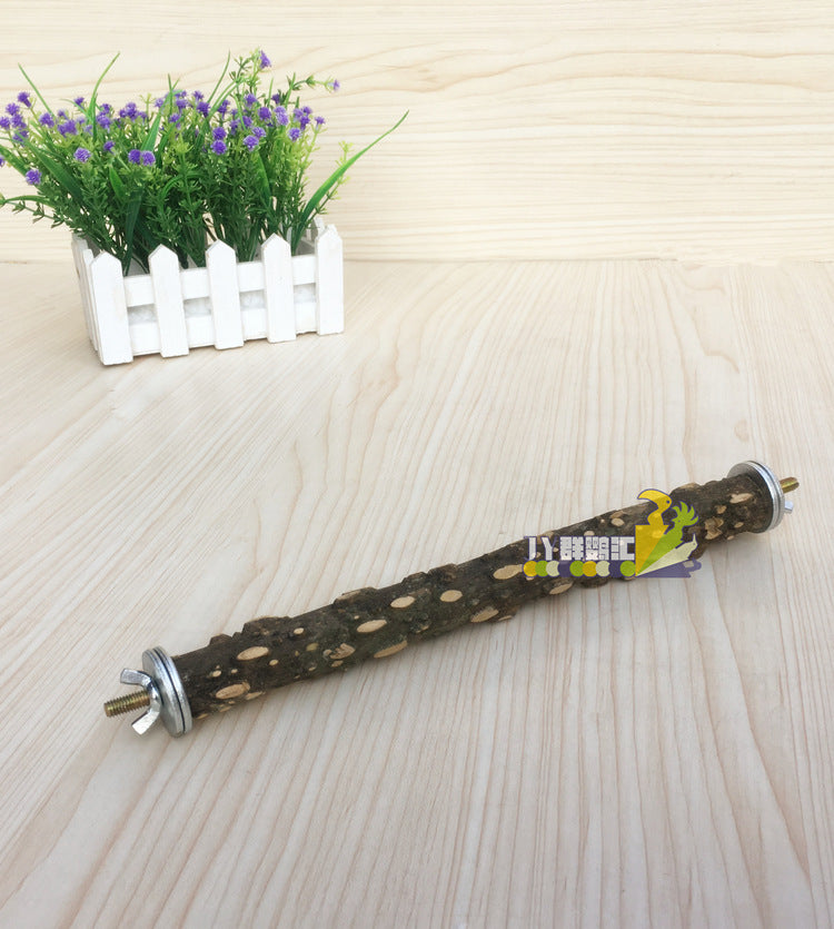 Take-away Cage Parrot Outing Travel