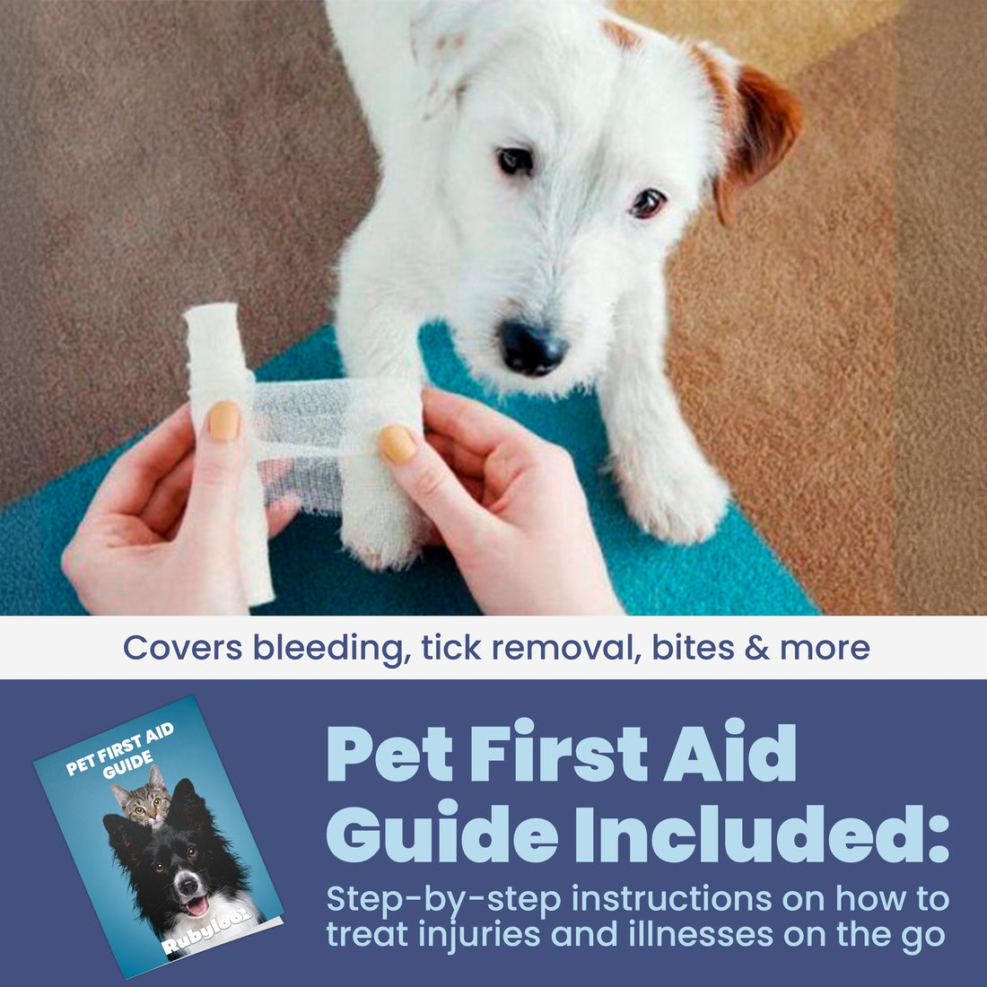 Person holding a bandage with a dog in the background, promoting a pet first aid guide.
