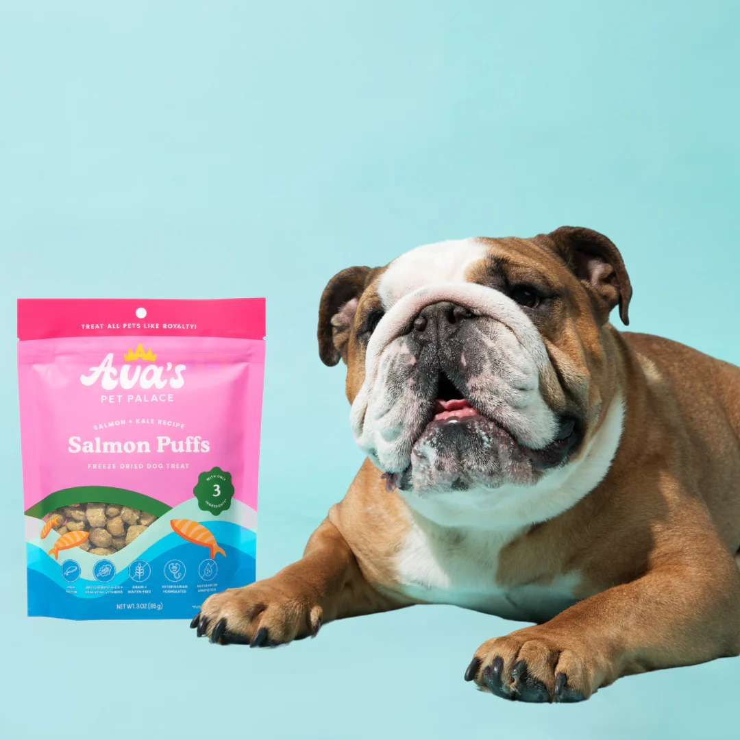 Dog lying next to Ava's Pet Palace Salmon Puffs package on a light blue background