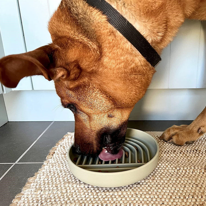 Pet Fashion Simple Slow Feeding Bowl