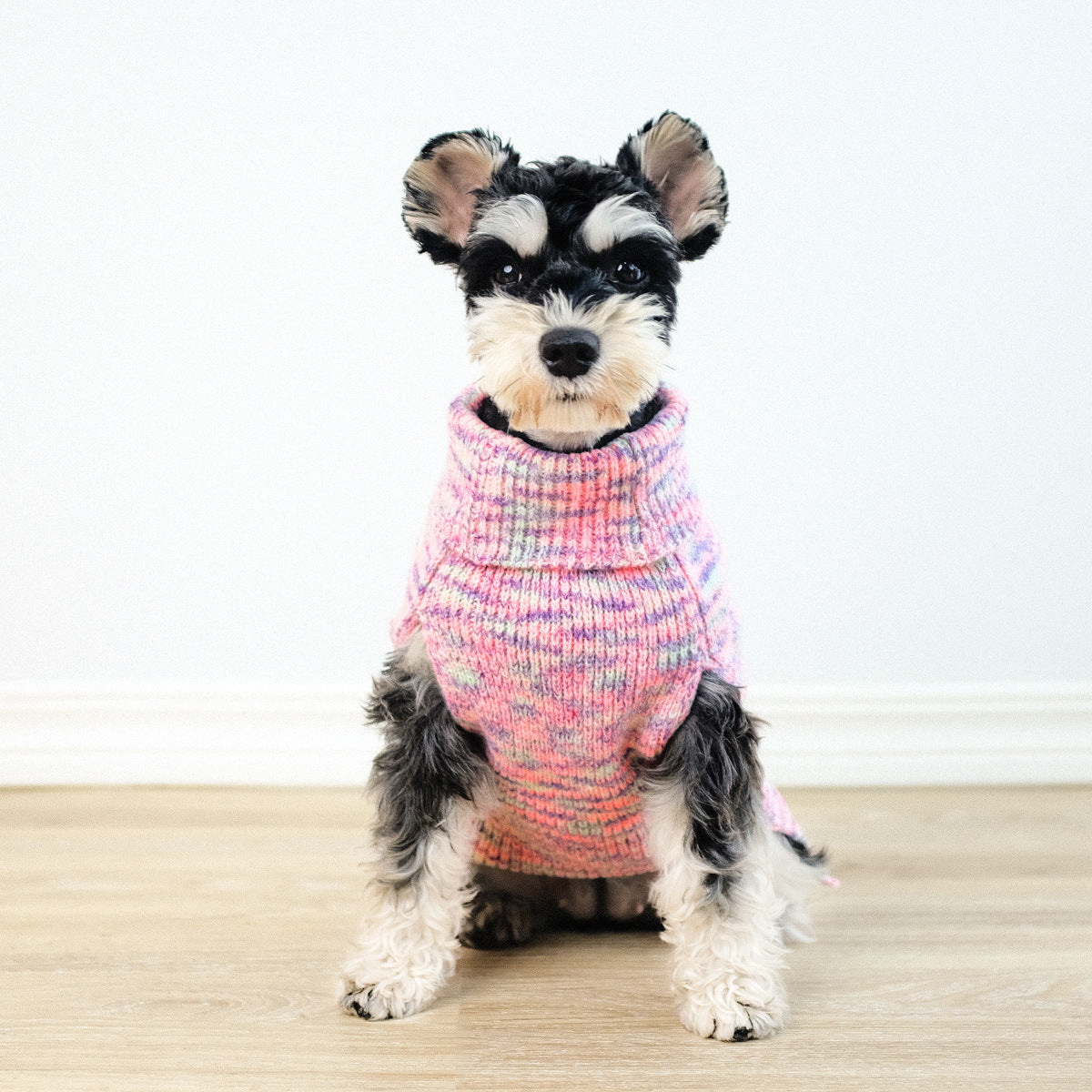 Dyed purple pet sweater on a cute dog, showcasing cozy knitted comfort for furry friends.