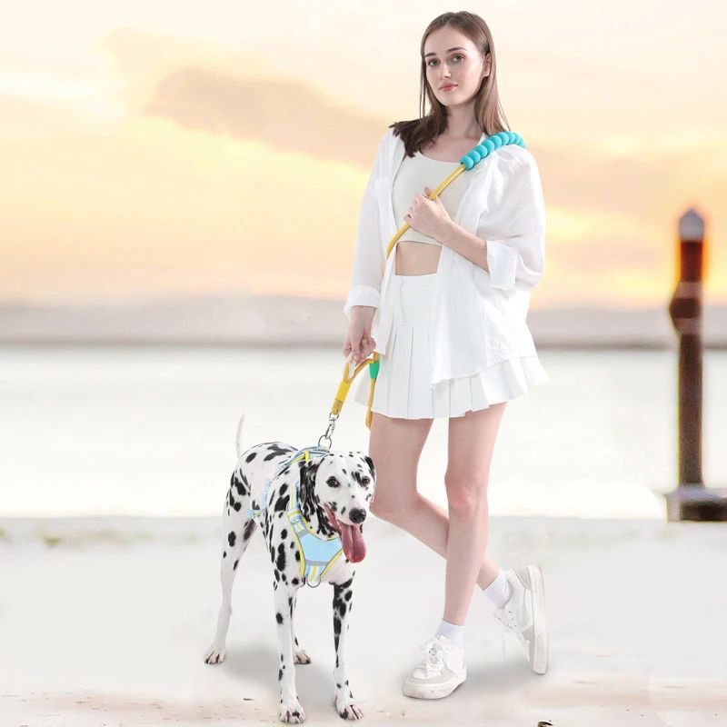 Versatile Pet Traction Leashes
