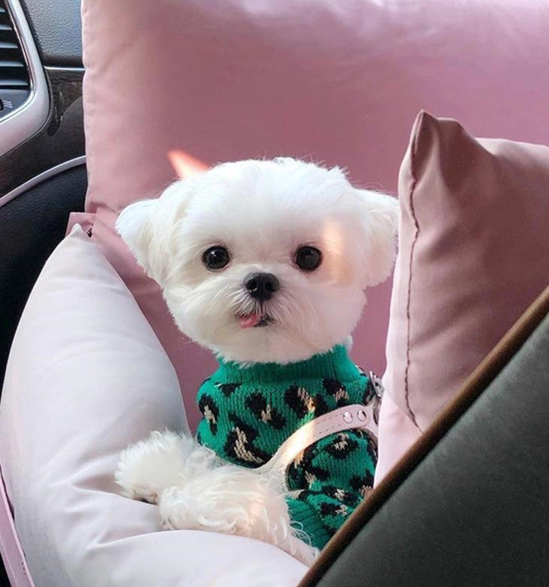 Knitted Dog Leopard-print Sweater fashionable look