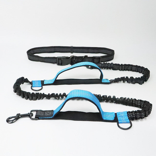 Adjustable Pet Leash