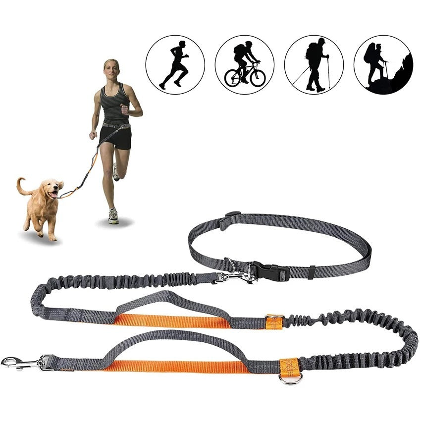 Adjustable Pet Leash