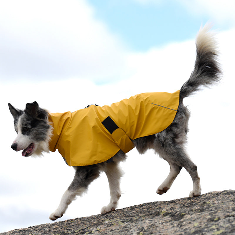 Pet Shell Jacket Dog