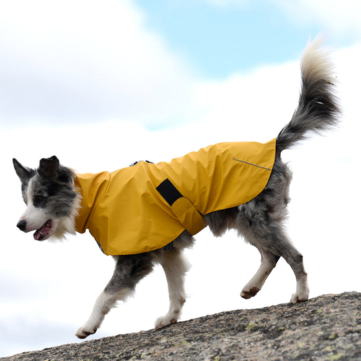 Pet Shell Jacket Dog