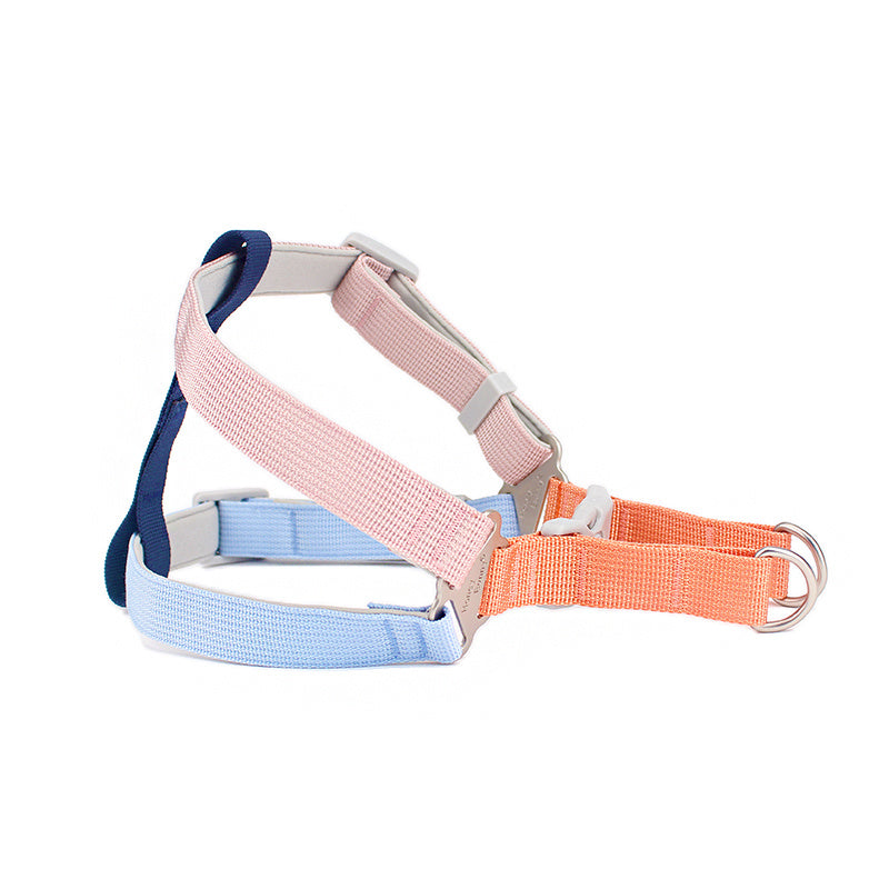 Colorful Outdoor Leash Pet Supplies
