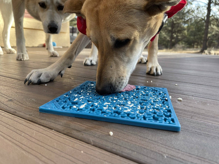 Dog eating from a blue mat on a wooden deck